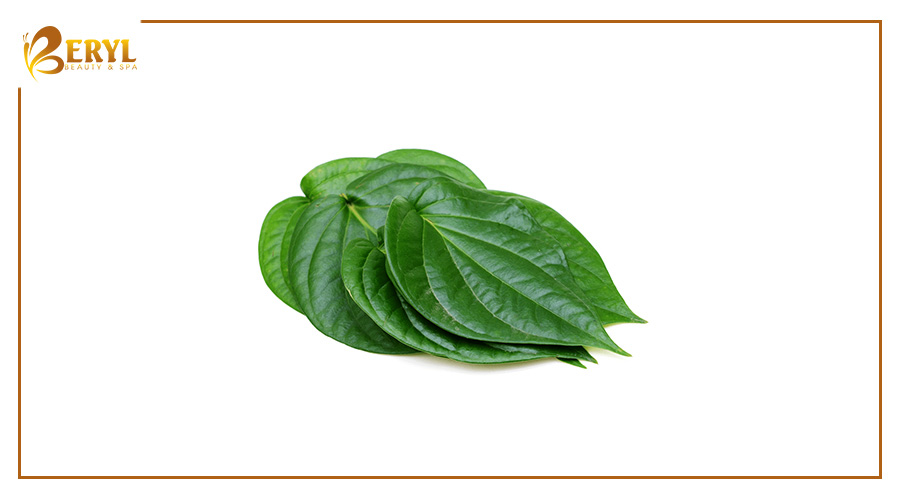 Lá trầu không rất tốt trong việc tẩy lông chân Lá trầu không rất tốt trong việc tẩy lông chân