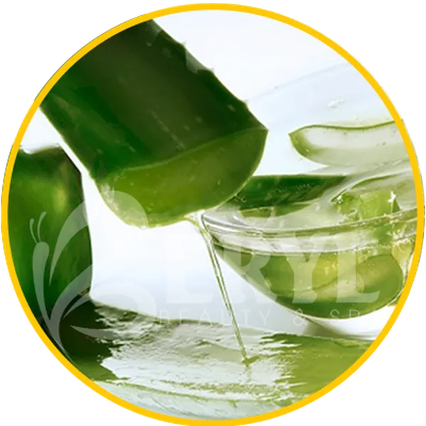 5 Cách Trị Mụn Thâm Bằng Nha Đam