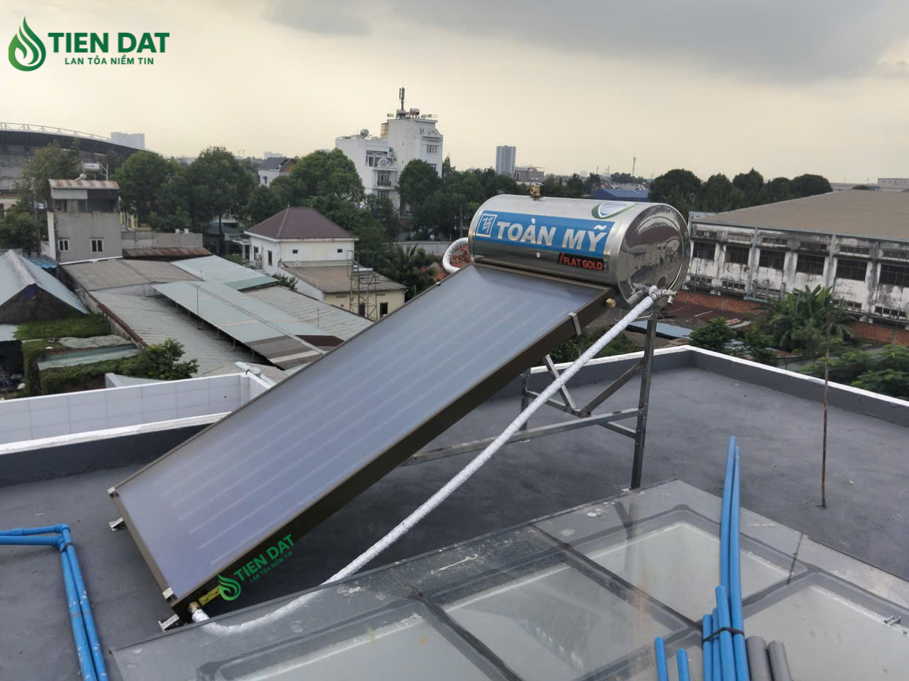 nlmt toàn mỹ flat gold nlmt toàn mỹ flat gold