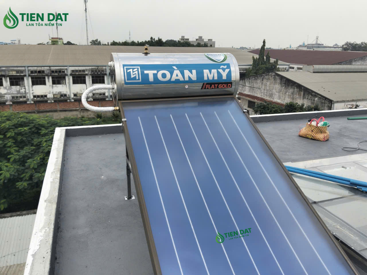 nlmt toàn mỹ flat gold nlmt toàn mỹ flat gold