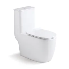 Bồn cầu Hwata 1 khối HT-110