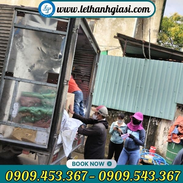 Giao hàng nhanh trên toàn quốc Dây dù xanh dẹt