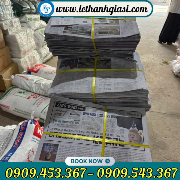 Báo cũ bọc trái cây giá sỉ rẻ Báo cũ bọc trái cây