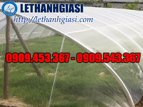 Màng nilon phủ nhà kính trong ngành nông nghiệp Màng nilon phủ nhà kính trong ngành nông nghiệp