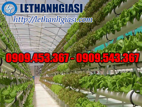 Màng nilon nhà kính để trồng rau an toàn và cho năng suất co Màng nilon nhà kính để trồng rau an toàn và cho năng suất co