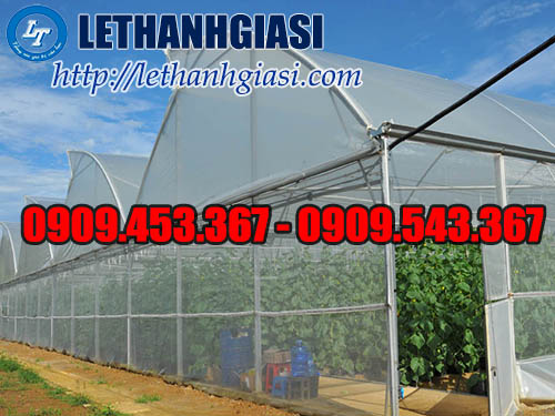 Màng nilon chất lượng, giá rẻ Màng nilon chất lượng, giá rẻ