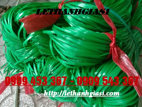 CẦN TÌM ĐẠI LÝ BỎ MỐI DÂY NILON CUỘN NHIỀU MÀU GIÁ SỈ RẺ TPHCM