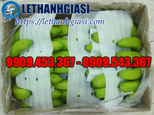 Màng xốp Foam chất lượng, giá rẻ Màng xốp Foam chất lượng, giá rẻ