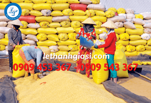 Bao tải dứa đựng thóc giá rẻ Bao tải dứa đựng thóc