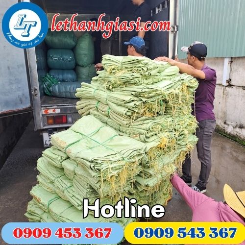 bao tải dứa mỏng màu xanh giá sỉ rẻ tại xưởng bao tải dứa mỏng màu xanh giá sỉ rẻ tại xưởng