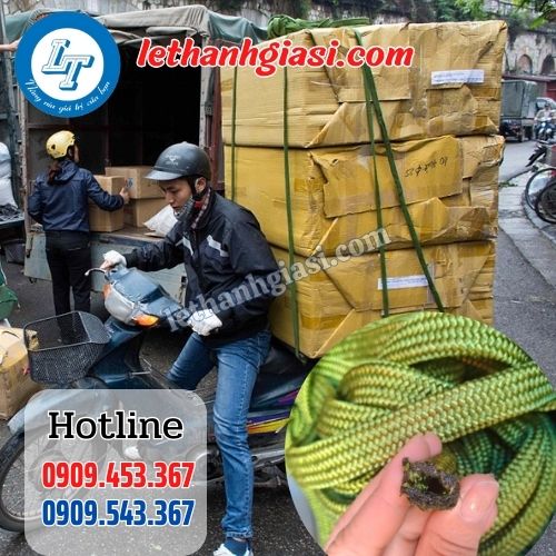 công dụng dây dù bản dẹt công dụng dây dù bản dẹt