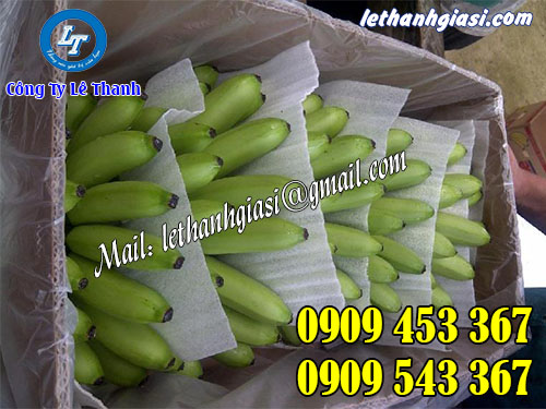 Ứng cuộn xốp foam  Ứng cuộn xốp foam