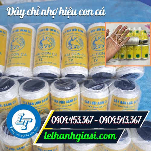 Dây chỉ nhợ hai con cá
