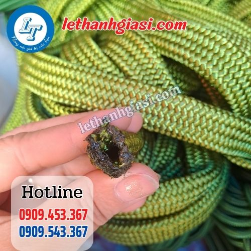 dây dù bản dẹt xanh lá bán sỉ rẻ tại tiền giang dây dù bản dẹt xanh lá bán sỉ rẻ tại tiền giang