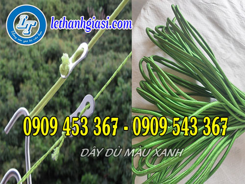 Dây dù màu xanh