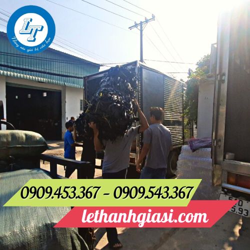 Lên hàng dây nilon giao tận nơi cho khách Lên hàng dây nilon giao tận nơi cho khách