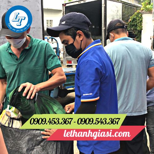 Dây ràng giá rẻ giao hàng nhanh Dây ràng giá rẻ giao hàng nhanh