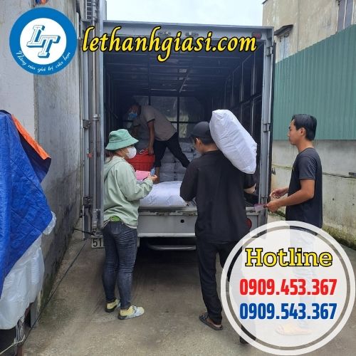 giao đơn sỉ túi bóng mỡ tại tiền giang giao đơn sỉ túi bóng mỡ tại tiền giang