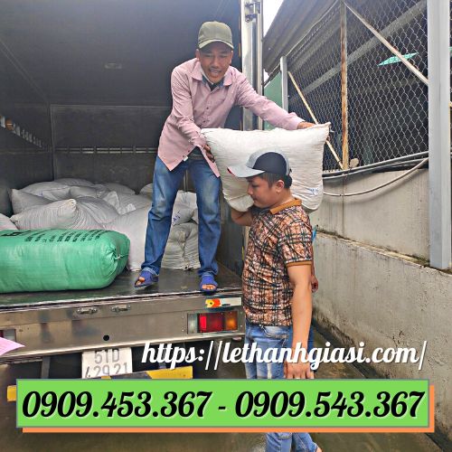 Lên hàng giao cho khách Lên hàng giao cho khách