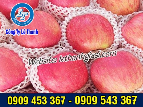 Xốp lưới bọc táo giá sỉ Xốp bao trái cây nhiều kích cỡ