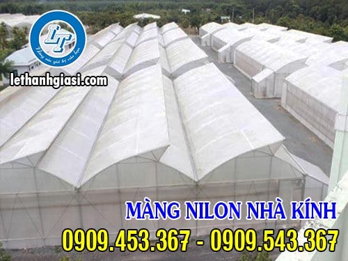 Màng nilon nhà kính chất lượng nhất hiện nay Màng nilon nhà kính