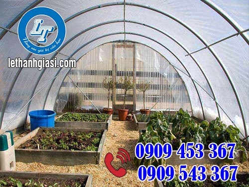 Màng nilon phủ nhà kính giá rẻ tại Lê Thanh Màng nilon phủ nhà kính