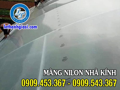Màng nilon nhà kính nhập khẩu giá rẻ Màng nilon nhà kính