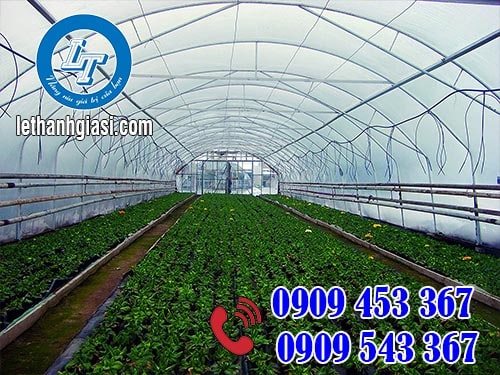 Màng nilon phủ nhà kính giá tốt, giao hàng nhanh. Màng nilon phủ nhà kính