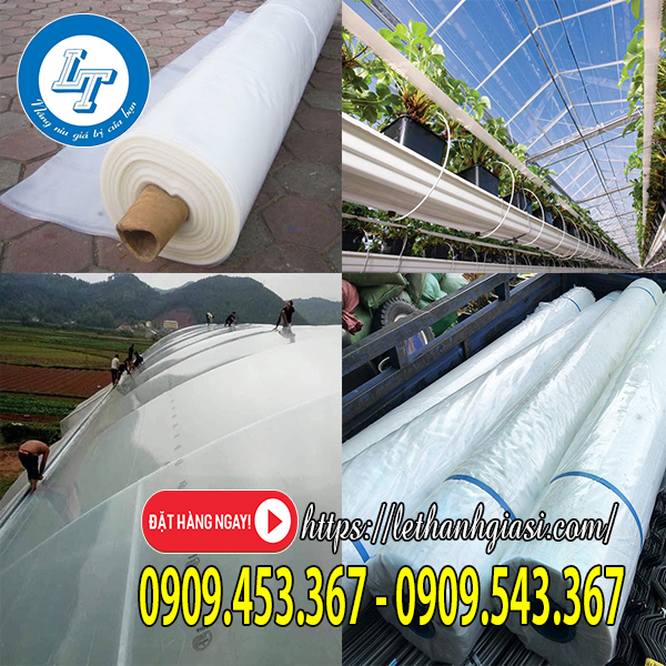 Màng nilon nhà kính nhập khẩu Màng nilon nhà kính nhập khẩu