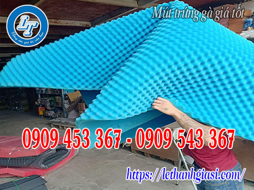 Mút hột gà dễ thi công trên mọi bề mặt Mút hột gà