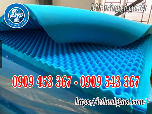 Mút hột gà giá rẻ cho đại lý Mút hột gà