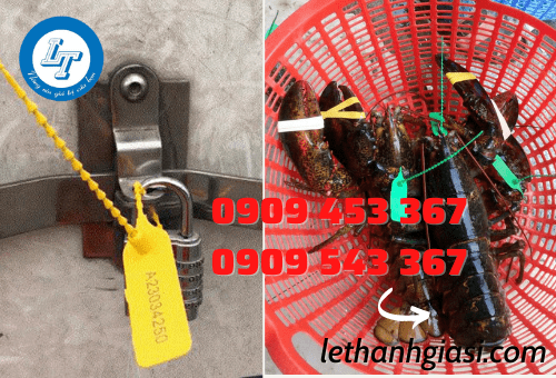 Seal niêm phong giá rẻ Seal niêm phong giá rẻ