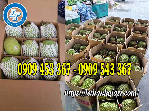 Thùng carton đựng trái cây giá sỉ\ Thùng carton đựng trái cây