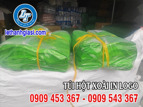 Túi hột xoài PE giá rẻ tại kho Túi hột xoài in logo