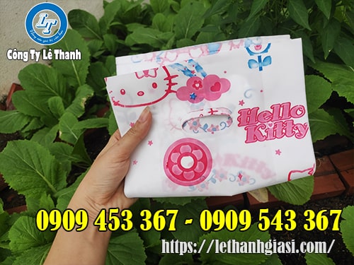 Túi hột xoài giá rẻ tại kho Túi hột xoài