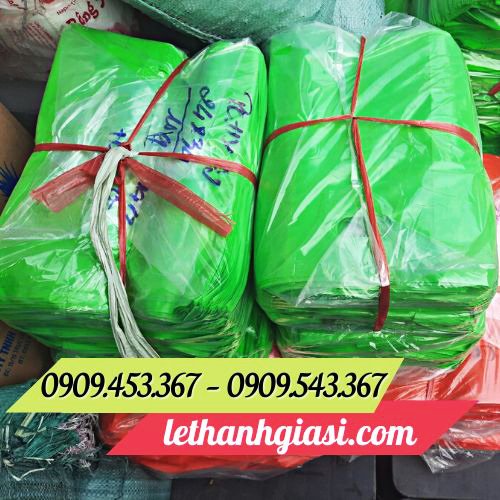 Túi hột xoài giá rẻ