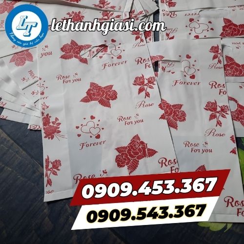 Túi hột xoài in sẵn Túi hột xoài in sẵn