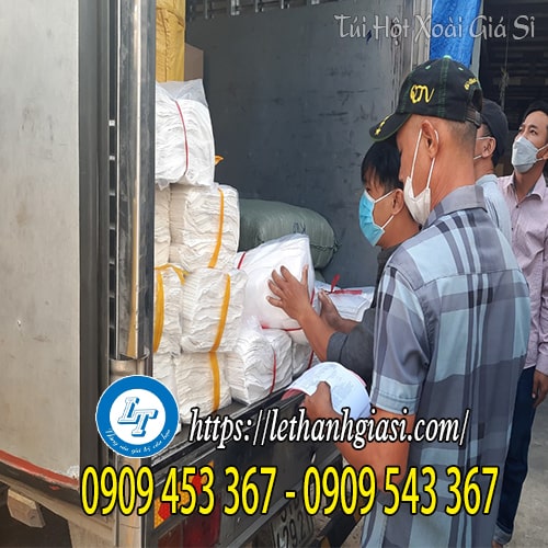 Túi hột xoài pe giao hàng nhanh Túi hột xoài pe