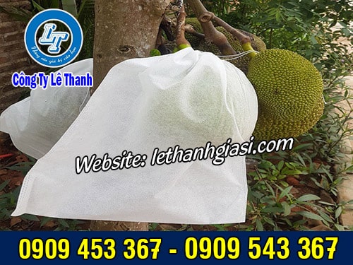 Túi lưới bọc mít sử dụng từ lúc trái cây còn bé Túi lưới bọc mít