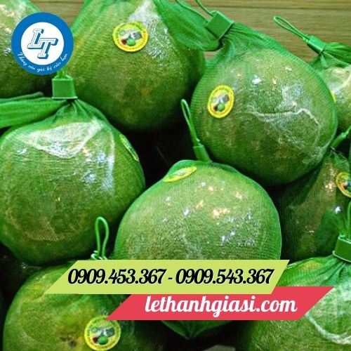 Túi lưới nhựa bọc bưởi Túi lưới nhựa bọc bưởi