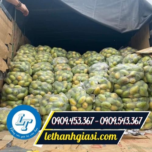 Túi nilon hai quai đục lỗ đựng nông sản Túi nilon hai quai đục lỗ