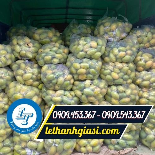 Túi nilon đục lỗ 2 quai đựng trái cây, rau củ giá rẻ mua ở đâu? Túi nilon đục lỗ 2 quai đựng trái cây, rau củ giá rẻ mua ở đâu?