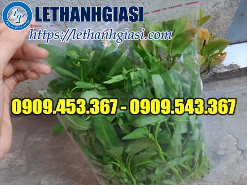 Túi opp dán miệng dùng đựng rau giá rẻ Túi opp dán miệng giá rẻ