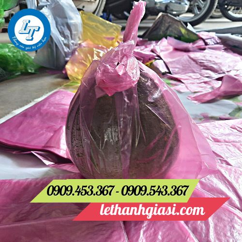 Túi xốp bóng mỡ có quai xách tiện lợi Túi xốp bóng mỡ có quai xách tiện lợi