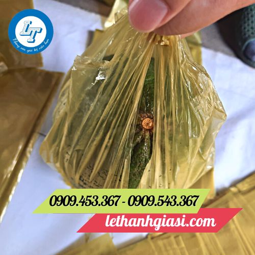 túi xốp hai quai đựng trái cây túi xốp hai quai đựng trái cây