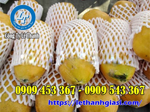 Lưới xốp bọc đu đủ giá sỉ Lưới xốp bọc đu đủ