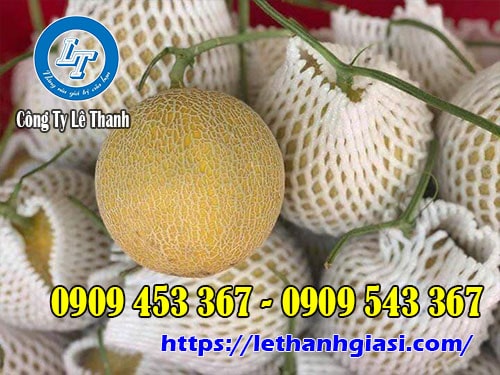 Lưới xốp bọc dưa lưới giá sỉ rẻ Lưới xốp bọc dưa lưới