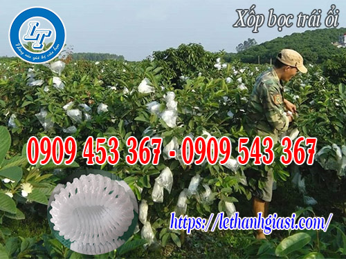 Xốp bọc ôi Đài Loan Xốp bọc ôi Đài Loan