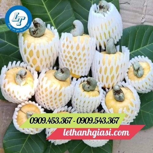 Xốp lưới bọc trái cây Xốp lưới bọc trái cây