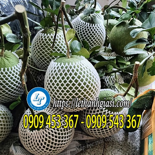 Xốp bọc trái bưởi giá sỉ rẻ Xốp bọc trái bưởi